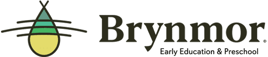 Brynmor Logo 1